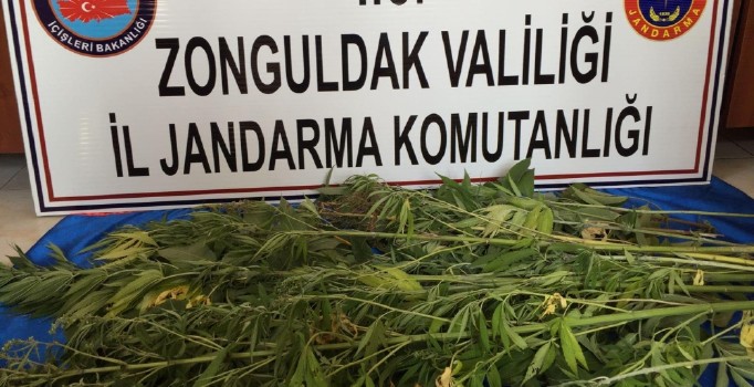 Zonguldak’ta uyuşturucu operasyonu      
