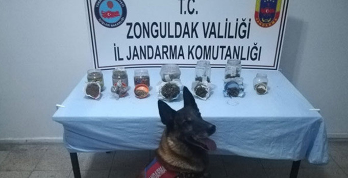 Zonguldak'ta uyuşturucu operasyonu