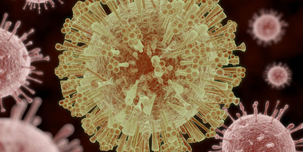 Zoonotik (Zoonoz) hastalıklar nedir? Zoonotik kaynaklı bulaşıcı virüsler bütün dünyanın gündeminde!