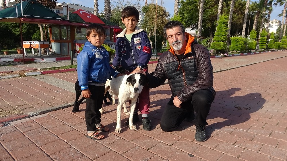 Zor günler yaşayan sokak köpeklerine mama desteği 