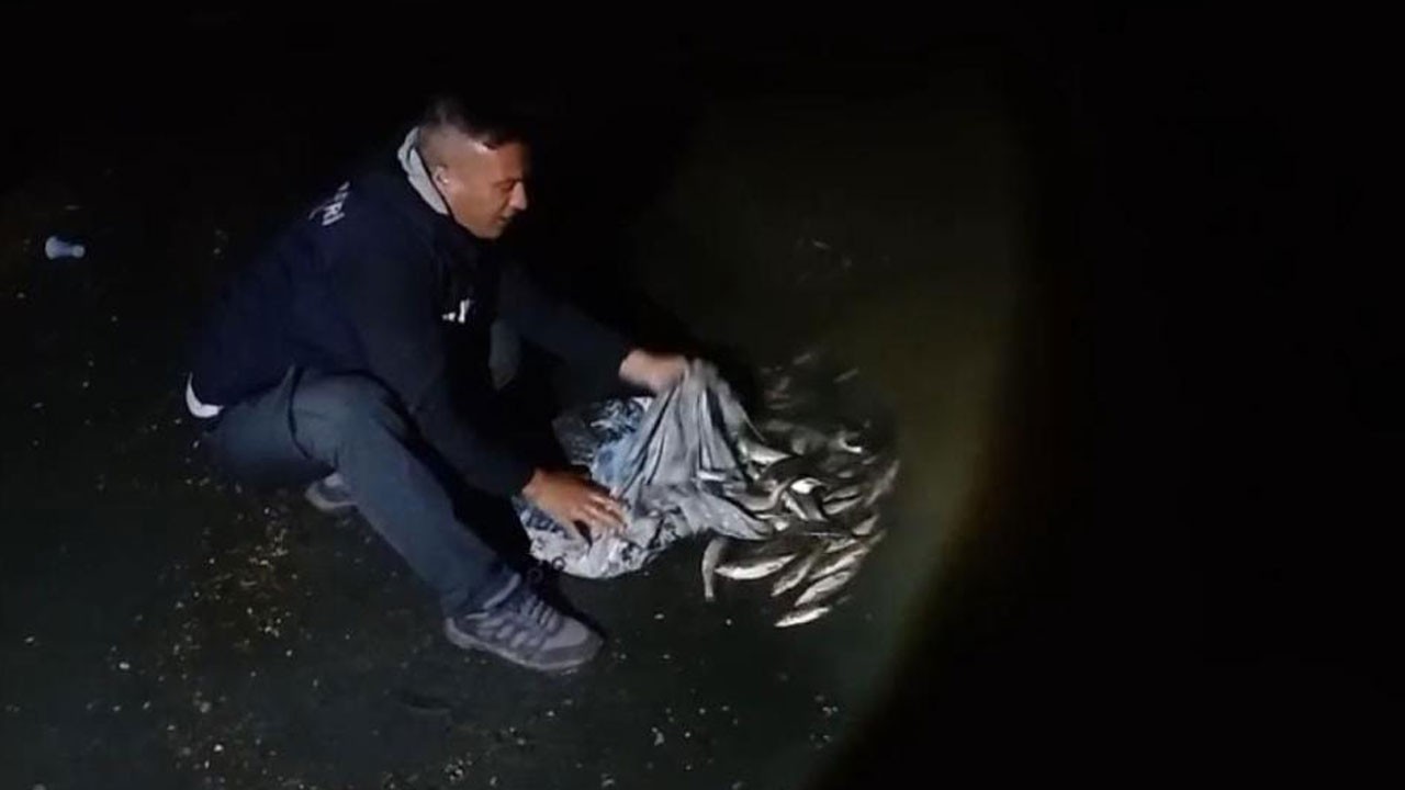 Zorlu göç başladı! Kaçak avcılara geçit yok