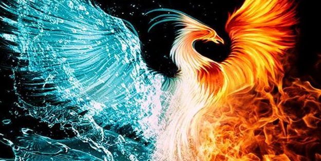 Zümrüdü Anka Kuşu nedir? Zümrüdü Anka Kuşu’nun özellikleri nedir?