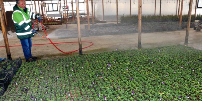 500 bin çiçek için hazırlıklar başladı