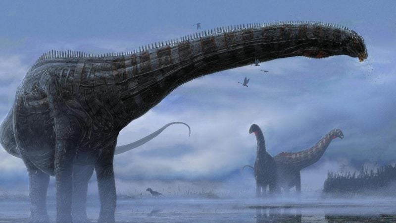  25 yıldır göz önünde saklanan yeni bir dinozor türü!
