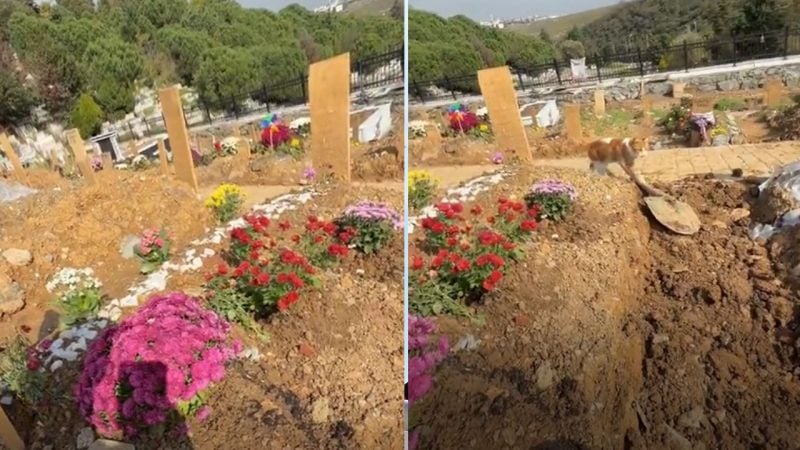 ‘Baba, eğer beni duyuyorsan bir işaret gönder’ dedi, şok oldu! Mezarlıkta inanılmaz anlar…