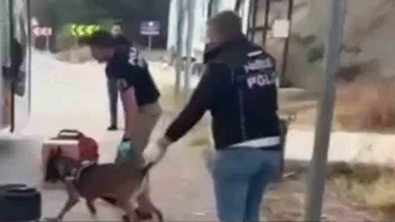 Boyabat'ta uyuşturucu operasyonunda 3 şüpheli tutuklandı