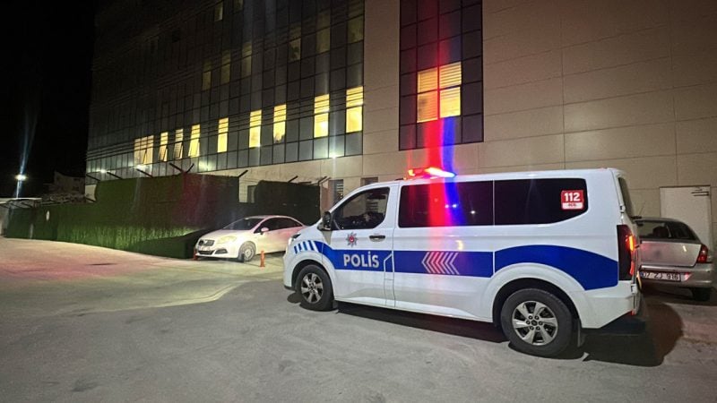 Ceviz silkelemek için ağaca çıktı! 72 yaşındaki adam hayatını kaybetti