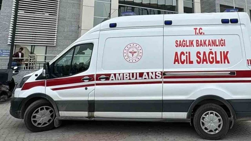 Ceviz toplamaya gitmişti: 82 yaşındaki kadın tarlada ölü bulundu!