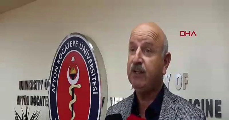 Dünyanın en iyi süt ürünleri listesinde kaymak üçüncü, Trabzon tereyağı ikinci