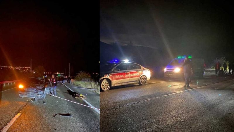 Elazığ-Pertek yolunda otomobilin çarptığı yaya öldü