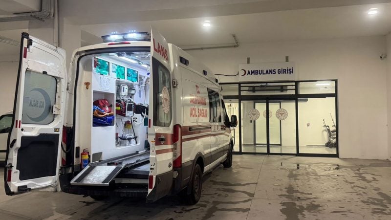 Evlerinin önündeki alabalık havuzuna düşen 2 yaşındaki çocuk hayatını kaybetti