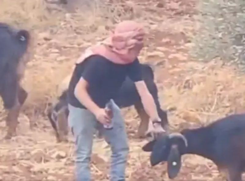 Filistinlileri suçlamak için servis ettiler! Zehirleme görüntülerinin arkasından İsrailli çıktı