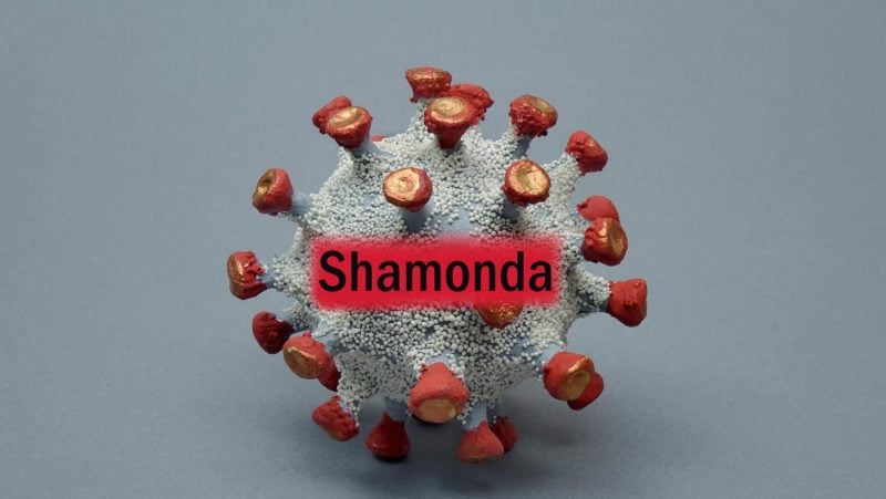 İlk kez bir insanda görülmüştü! DSÖ, Shamonda virüsünü araştırıyor