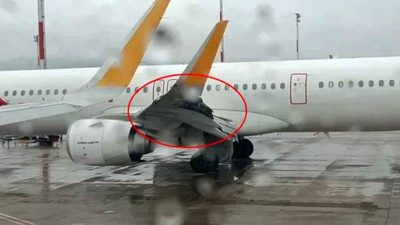 Kuş sürüsü uçağın kanadını parçaladı! Kalkıştan hemen sonra piste acil iniş yaptı!
