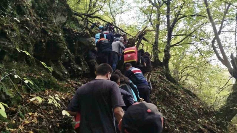 Mantar toplamaya gitmişti: 3 gün sonra bulundu!