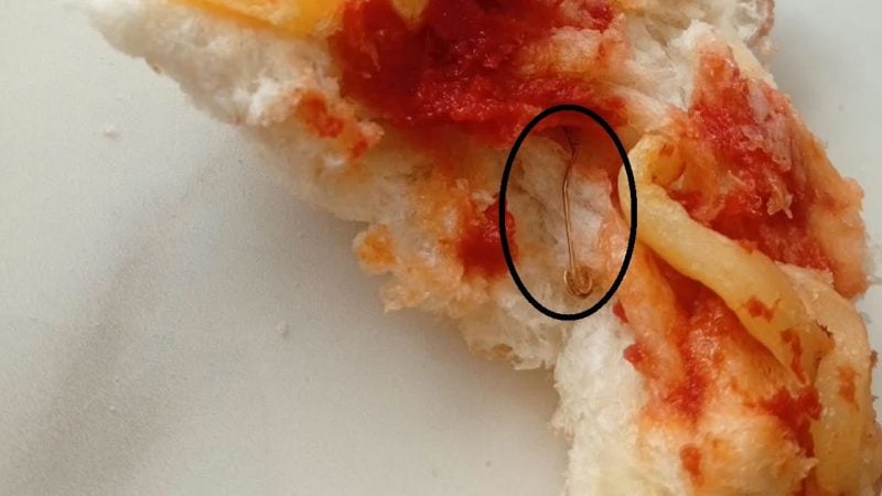 Oğlu yedi baba şikayetçi oldu! Ekmekten çıkmayan bir bu kalmıştı