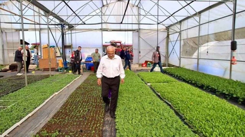 Ordu Büyükşehir'den müjde! 500 bini ücretsiz verilecek