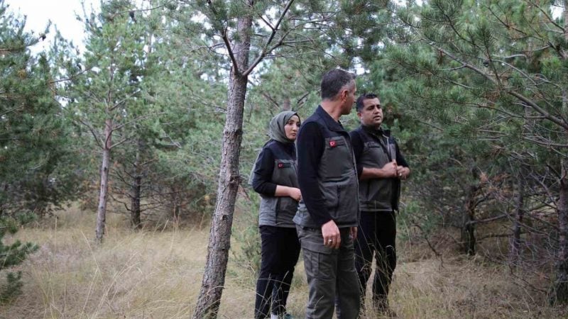Orman Bölge Müdürü, Kars'ta Millet Ormanı için incelemelerde bulundu
