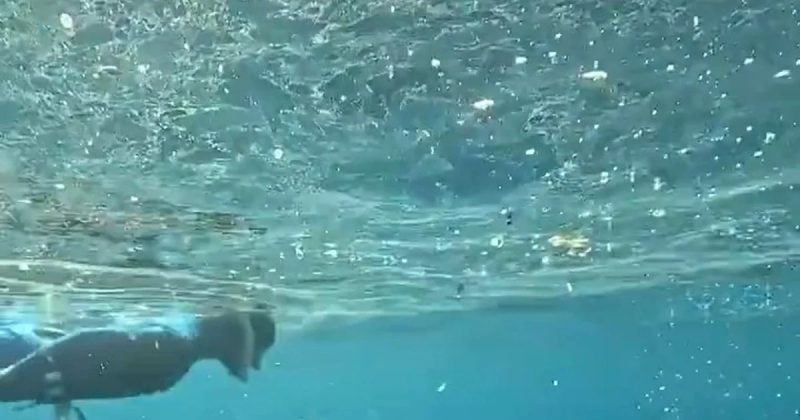 "Plastik atıklar Kaş Limanı'na kadar ulaşır" diyen Öztürk'ten yüzme uyarısı