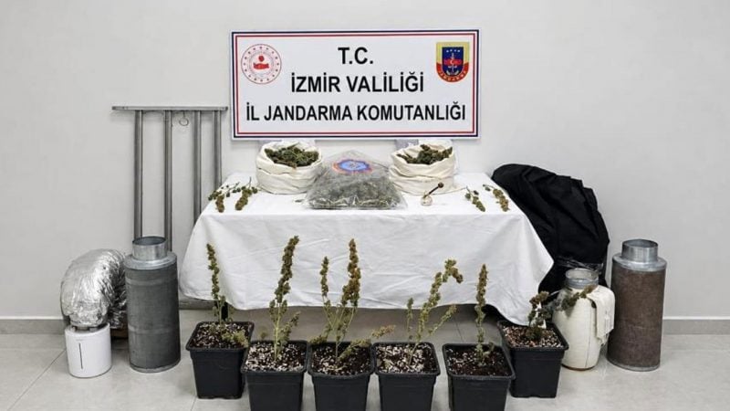 Saksıda uyuşturucu yetiştiren şahıs enselendi