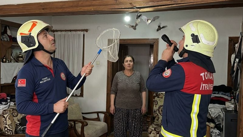 Tokat'ta bir evi işgal eden yarasalar itfaiye ekiplerince çıkarıldı