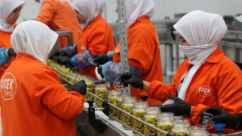 Türkiye'den tüm dünyaya rekor turşu ihracatı!