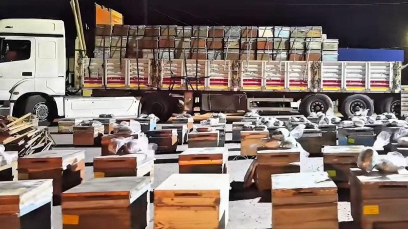 Uyuşturucu baronlarından şeytani taktik
