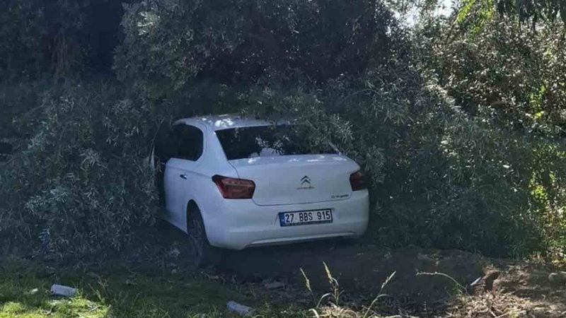 Zeytin bahçesine giren otomobilin çarptığı kişi hayatını kaybetti