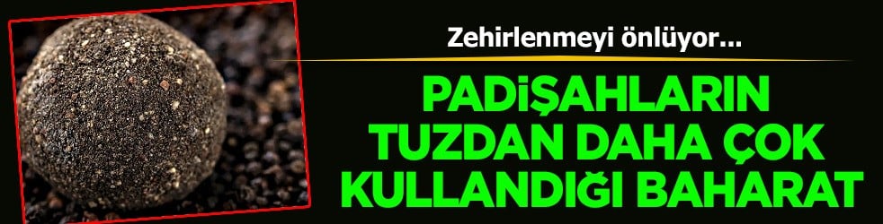 1 avuç meyveyle tatlılığını bastırın bakın ne oluyor! Mucizevi baharat: Süper gıda adeta doğal kalkan