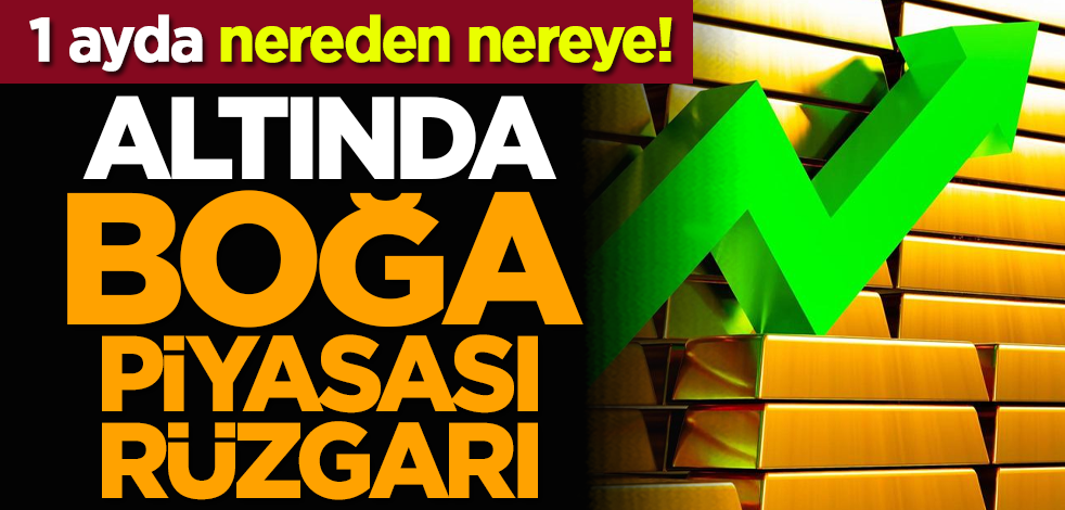 1 ayda nereden nereye! Altında boğa piyasası rüzgarı