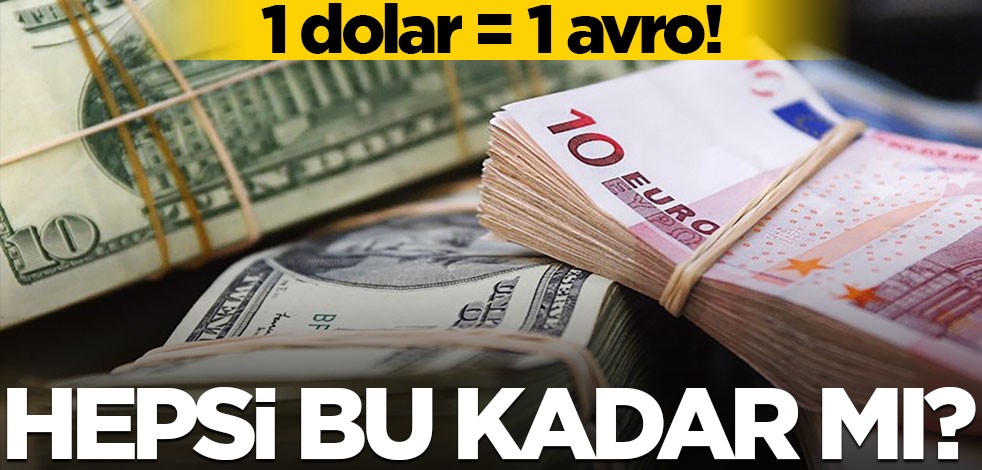 1 dolar = 1 avro! Hepsi bu kadar mı?
