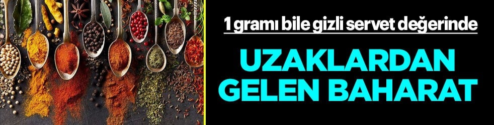 1 gramı bile gizli servet... Hint Okyanusu'nun baharatı çok önemli: Onu yemek için tüm dünya peşinde koşturuyor