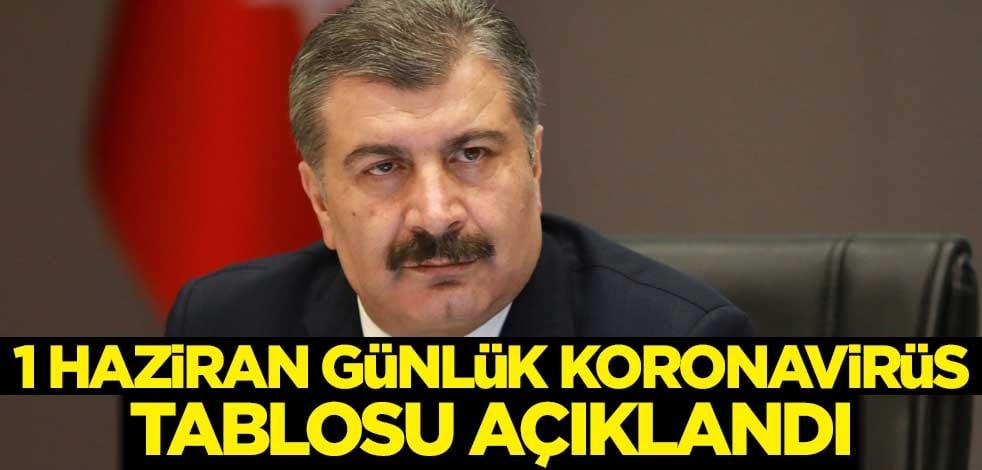 1 Haziran günlük koronavirüs tablosu açıklandı