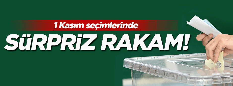 1 Kasım seçimlerinde sürpriz rakam!