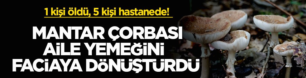 1 kişi öldü, 5 kişi hastanede! Mantar çorbası aile yemeğini faciaya dönüştürdü