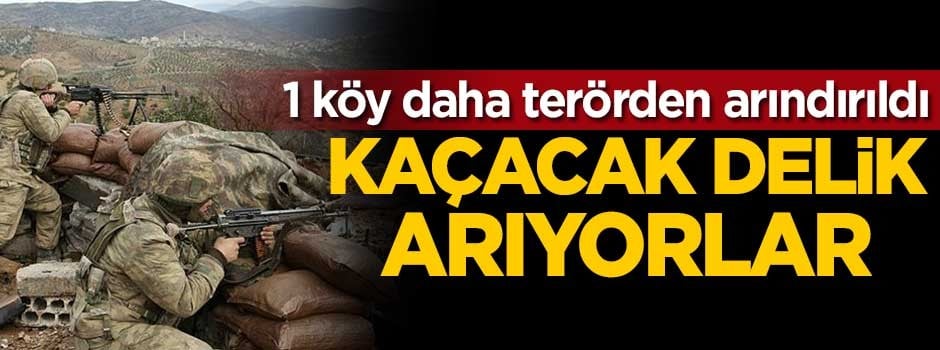 1 köy daha terörden arındırıldı