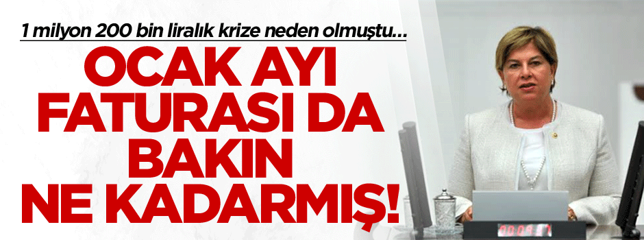 1 milyon 200 bin liralık krize neden olmuştu… Ocak ayı faturası da şoke etti