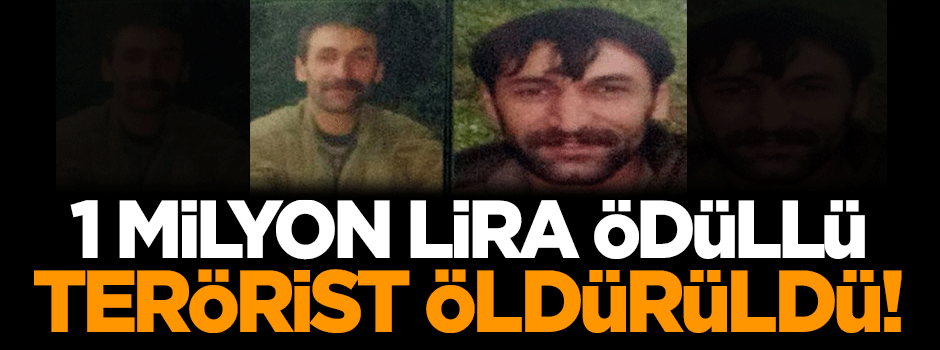 1 milyon lira ödüllü terörist öldürüldü!