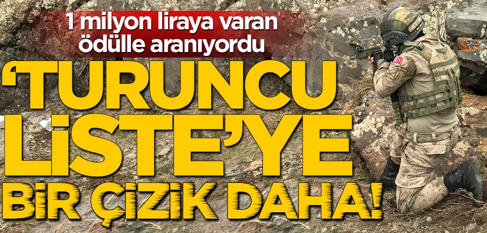 1 milyon liraya varan ödülle aranıyordu! Mardin'de 'turuncu liste'ye bir çizik daha!