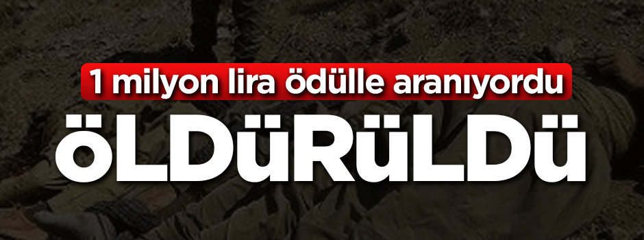 1 milyon TL ödülle aranıyordu! Öldürüldü