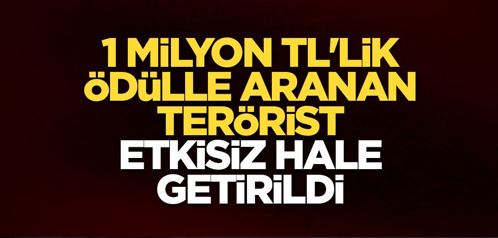 1 milyon TL'lik ödülle aranan terörist etkisiz hale getirildi