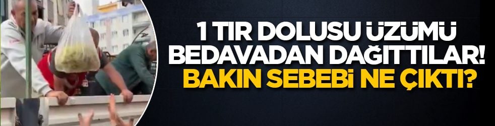 1 TIR dolusu üzümü bedavadan dağıttılar! Bakın sebebi ne çıktı?