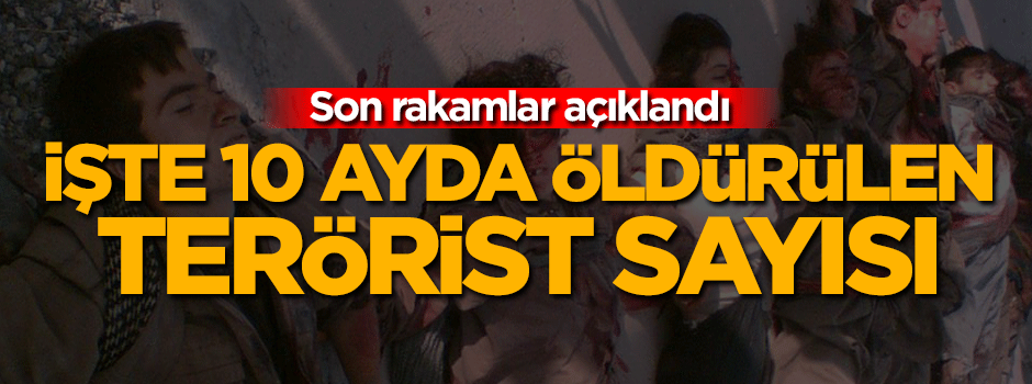 10 ayda bakın kaç terörist öldürüldü