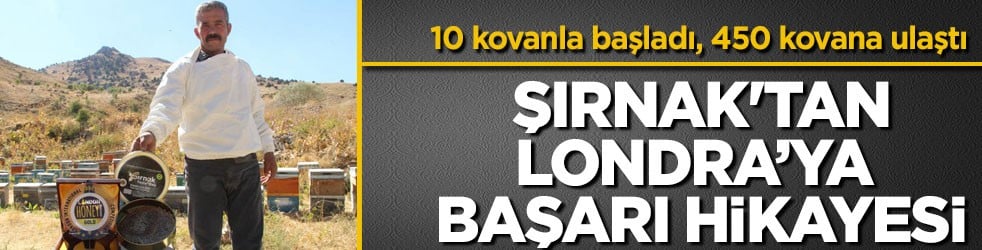 10 kovanla başladı, 450 kovana ulaştı! Şırnak'tan Londra’ya başarı hikayesi