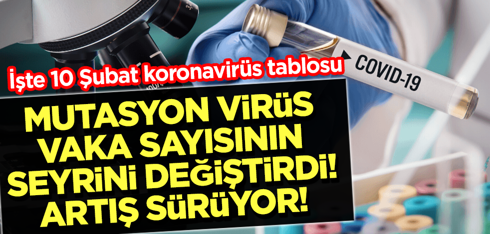 10 Şubat koronavirüs tablosu belli oldu! İşte vaka sayısı, can kaybı...