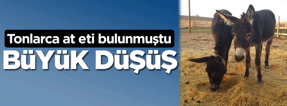 At ve eşek sayısında şüpheli düşüş