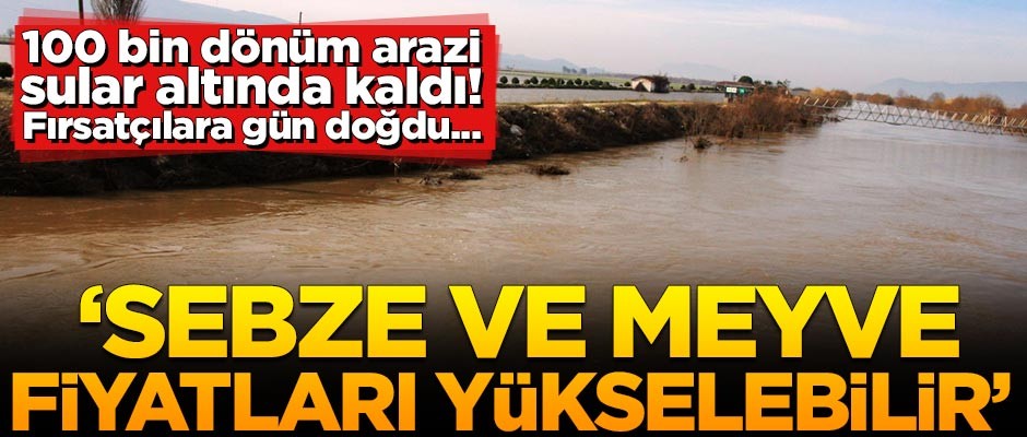 100 bin dönüm arazi sular altında kaldı! 'Meyve ve sebze fiyatlarına zam gelebilir'
