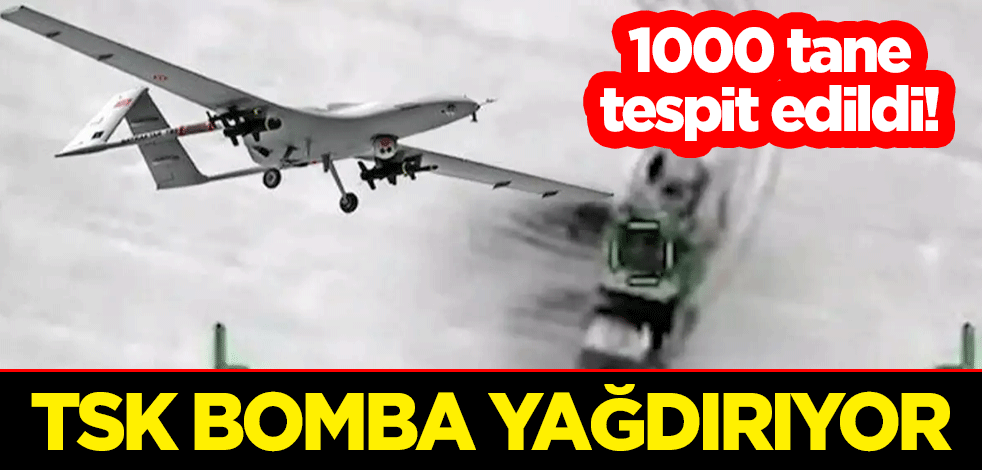 1000 tane tespit edildi! TSK bomba yağdırıyor