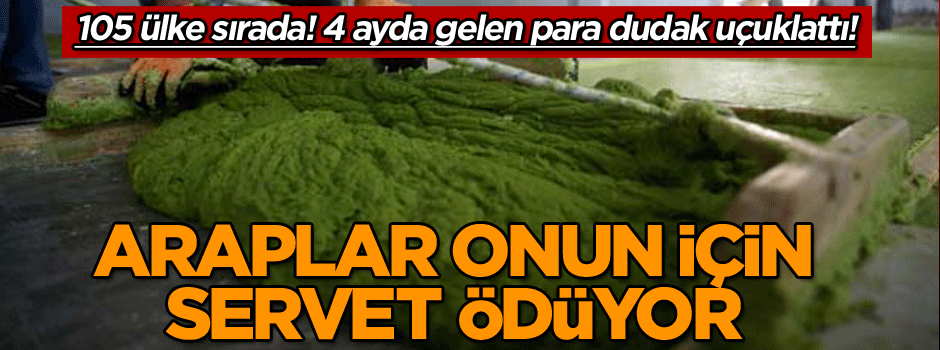 105 ülke sırada! 4 ayda gelen para dudak uçuklattı! Araplar onun için servet ödüyor