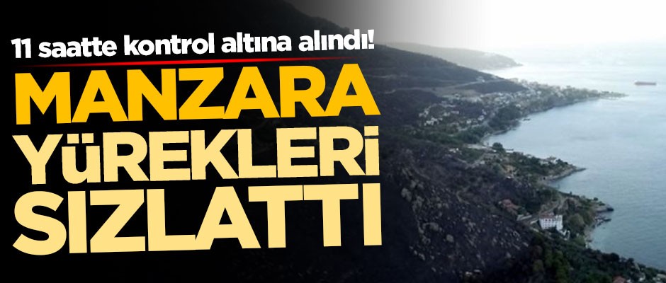11 saatte kontrol altına alındı! Manzara yürekleri sızlattı